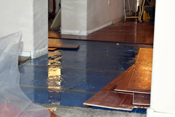Professional Burst Pipe Cleanup technician working in Hadley, MA