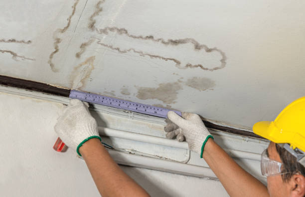 Reliable Burst Pipe Cleanup contractor in Hadley, MA by Water Damage Irwin